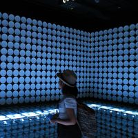 Sanci Tonni的照片