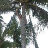 Le foto di Jonas Ulfenborg