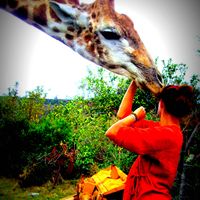 Wienke Reimer's Photo