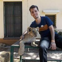 Fernando Lima Lopes的照片