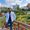 Emad Nageh's Photo