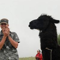 Fotos von Gerke Teitsma