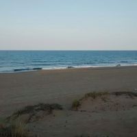 Robert Deltell's Photo