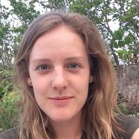 Fiene Lambrigts的照片