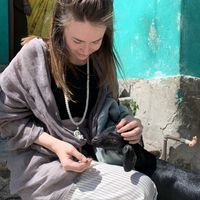 Daria Chuiko的照片