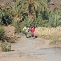 Eva Pietschmann的照片