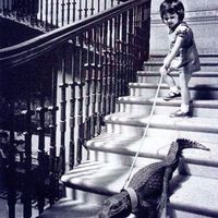 Ana Villegas的照片