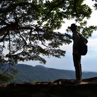 Фотографии пользователя Hitesh Hingad