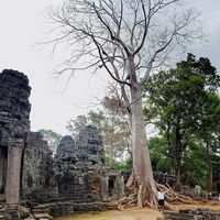 Liam Pilcher's Photo