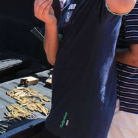 Amit Lingwal's Photo