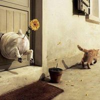 Fotos de Alexander Kash