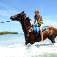 Jelena Dimitrijevic's Photo