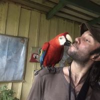 Roberto Maccariello's Photo