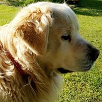 Karmen Jerenko's Photo