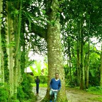 moges demissie's Photo