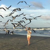 Olga Luganets的照片