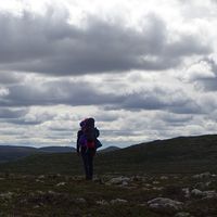 Arvid Spiegel的照片