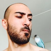 Raed Althamer的照片