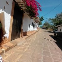 Catalina Rodriguez的照片