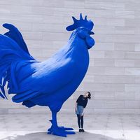 Fotos von Kay Wright