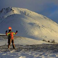 Geoffry Box的照片
