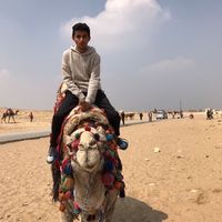 Mohammed Alqarni's Photo