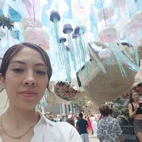 Fotos de Flynn Rider