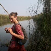 Fotos von tom samsarasnu