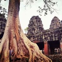 Jérémy Lepesant's Photo