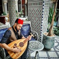 Badr S.'s Photo
