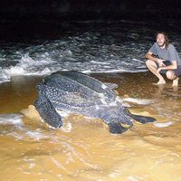 pierre Freyre's Photo