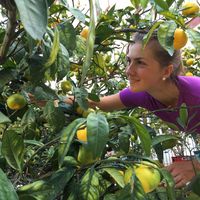 Anastasiia Sheshenia's Photo