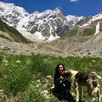 Darejan Peradze的照片