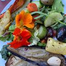 Foto de Suppe & Salat - foodsharing Inviation 