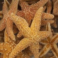 Alex Shoemaker's Photo