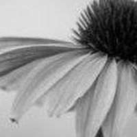 Fotos von Emily Carter