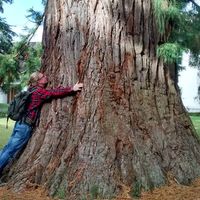 Benedikt Kowalski的照片