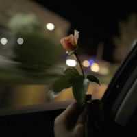 Фотографии пользователя Parisa Qattali