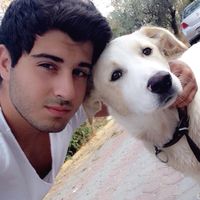 Alp Elbirliler的照片