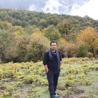 ahmad hajivand的照片