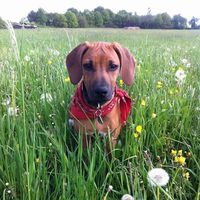 Stella Lalic的照片