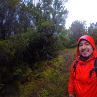 Sebastian Oyarzo的照片