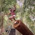 Akshay Shetty's Photo