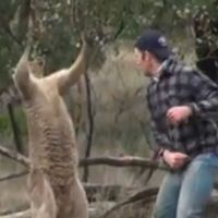 Michael DiMinico's Photo