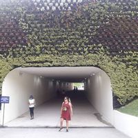 Gisella Zalazar's Photo