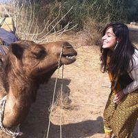 Mairê Carli的照片