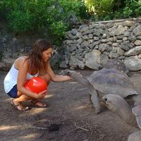 laura rosset's Photo