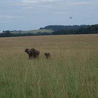 Yvonne B. MARTIN's Photo