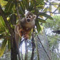 Jacqueline Fazzio's Photo