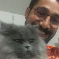 Фотографии пользователя Utku Atal